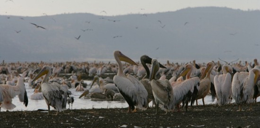 Guided small group kenya adventure wildlife safaris.