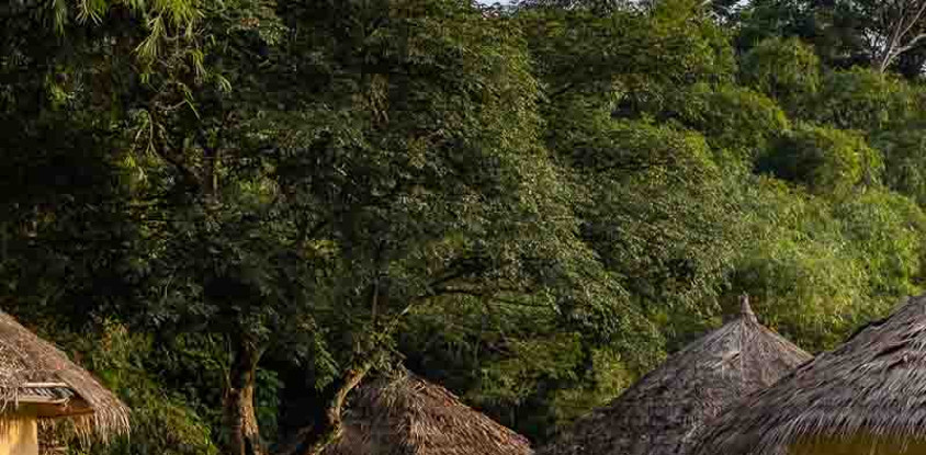 Taï forest lodges