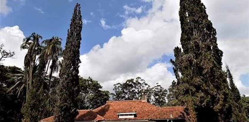 Tamambo Karen Blixen