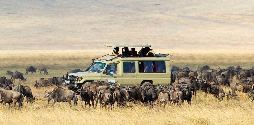 Tanzania safari