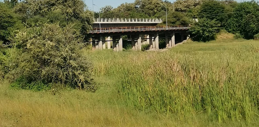 Thamalakane River
