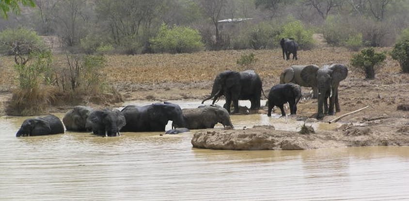 Safari tour of northern ghana