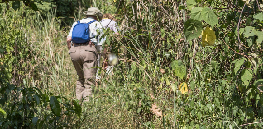 Travellers will enjoy memorble moments wit the cool natures in Uganda the pearl of Africa.