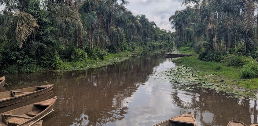 Visite de porto-novo et rivière noire