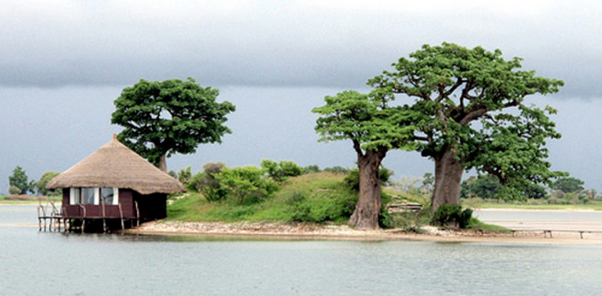 Visiter le Saloum