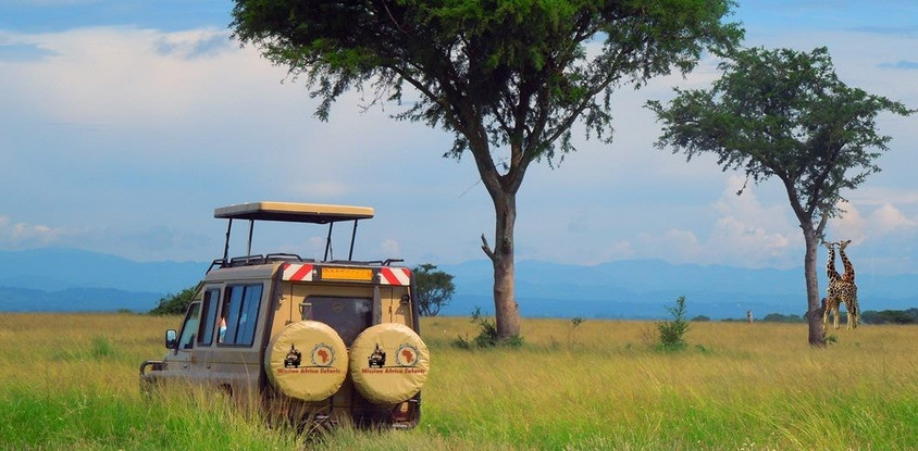 Wildlife safaris in east africa