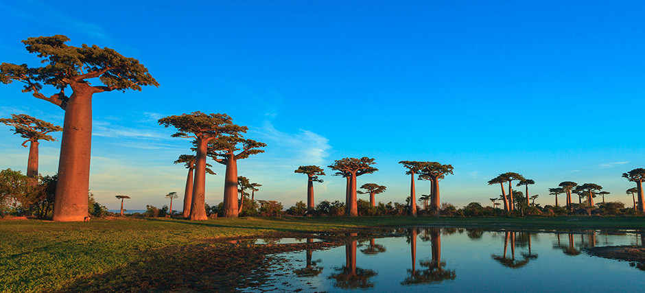 Best Attractions in Madagascar 2025 - Tripinafrica