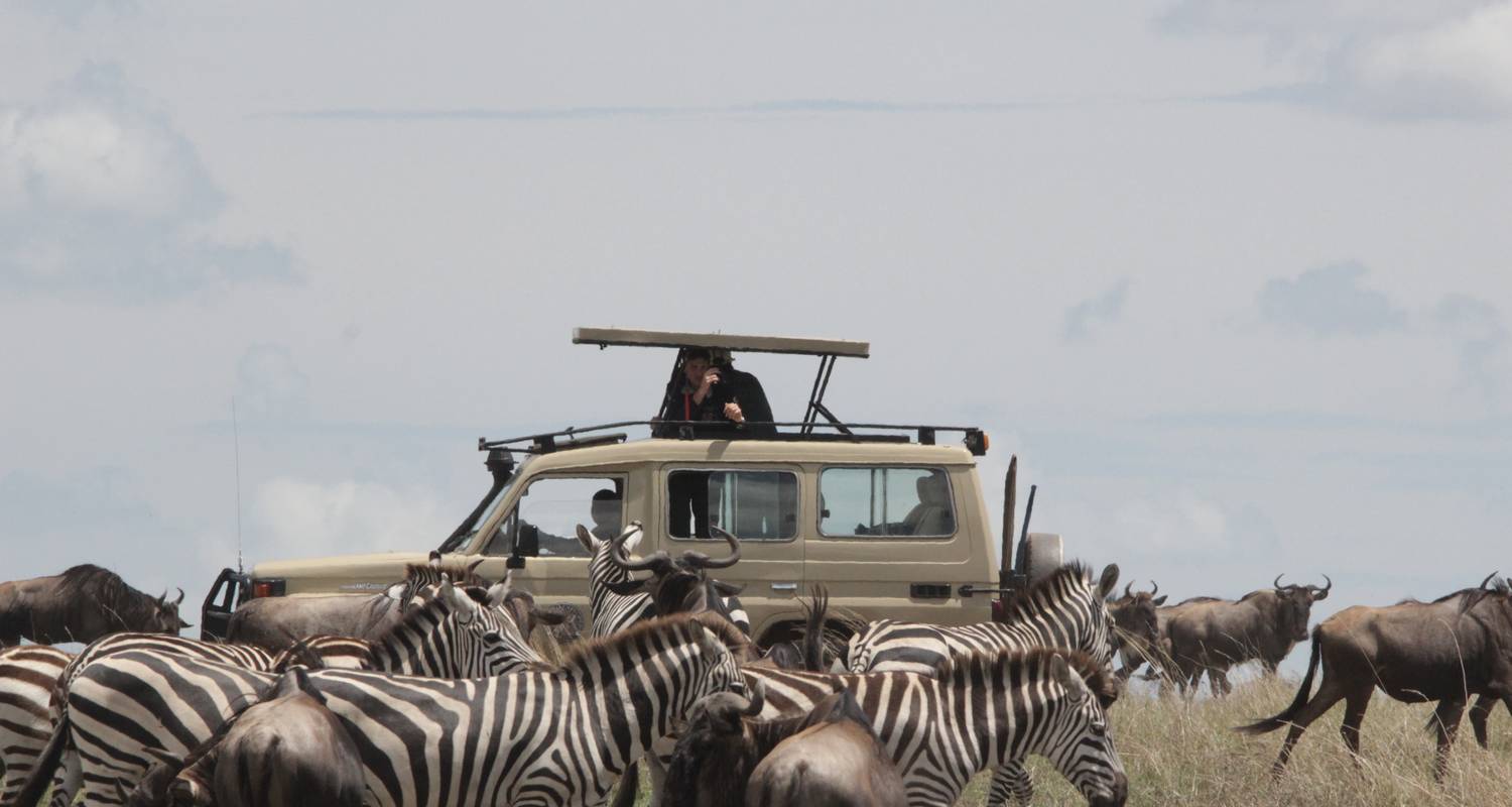 13-days-best-of-tanzania-and-zanzibar-C2ecr0yn5X.jpeg