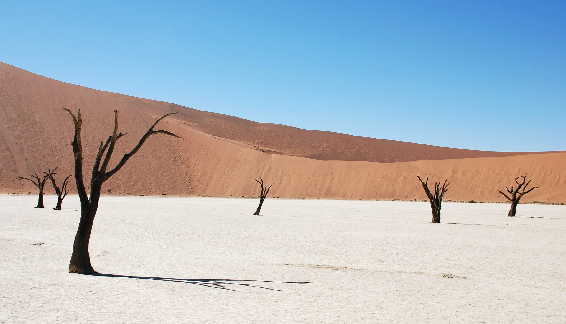 3 days sossusvlei namib desert tall dunes tour YES1YQK9wN.jpeg