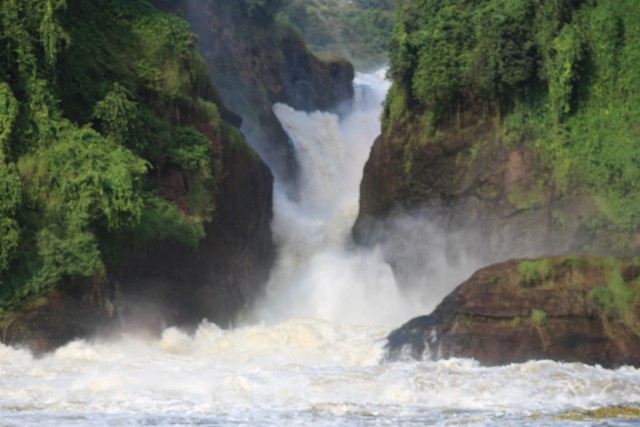 4 days gorilla tour in uganda vsKTrYwWv4.jpeg