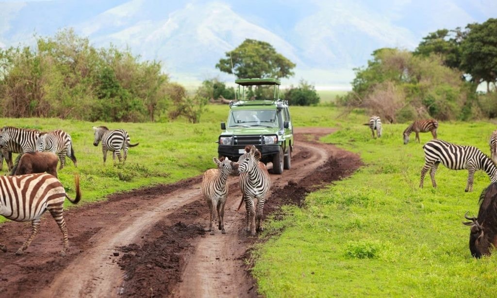4days budget camping private safari lake manyara serengeti ngorongoro phxW2.jpg