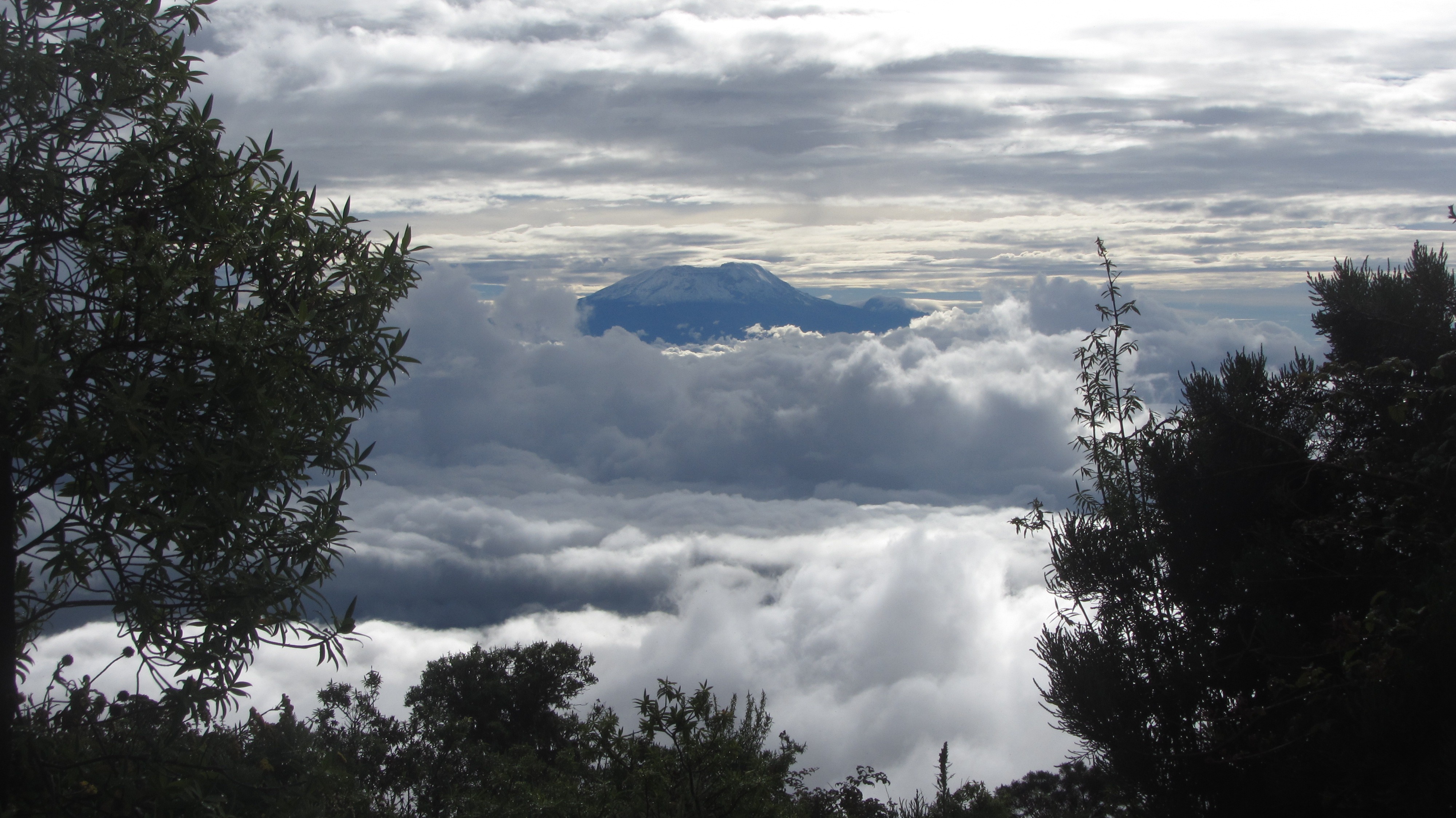 6 days mount kilimanjaro climbing trekking hiking via machame route o3yEFAEJIA.jpeg