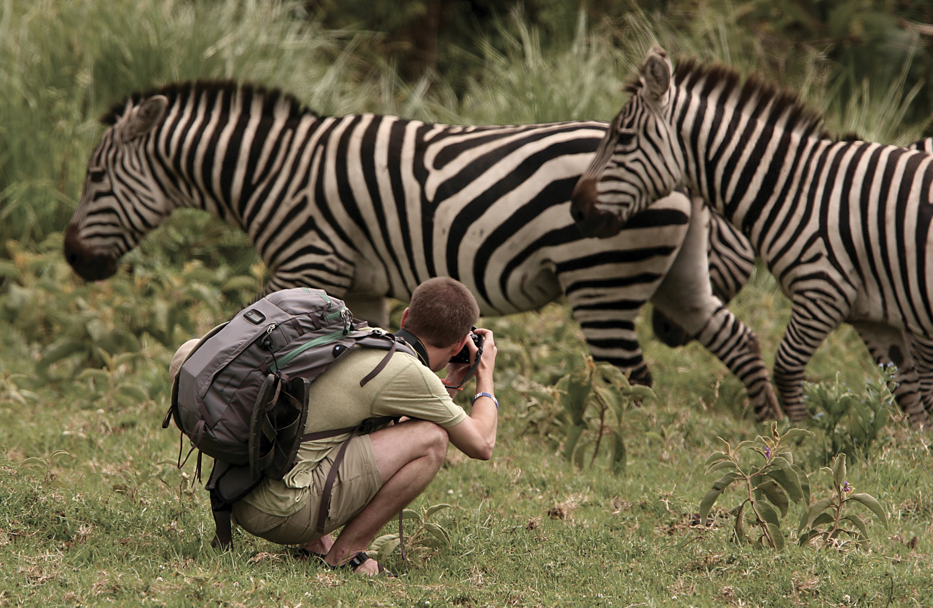 arusha national park day tour oxpVlRwwpA.jpeg