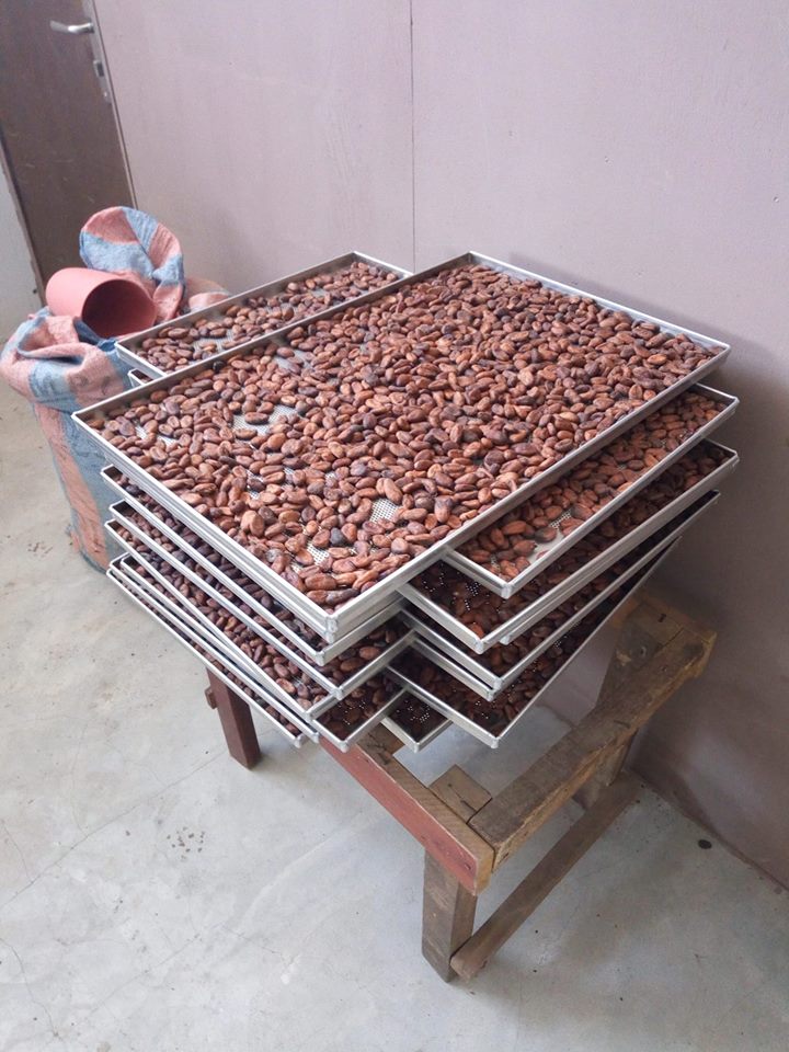 grand bassam nid de la production du cacao et du chocolat sCWdZBHYgi.jpeg