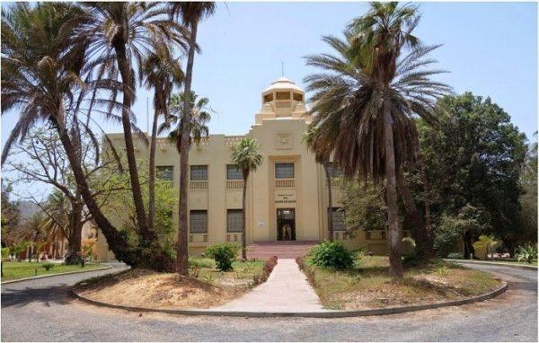 musee-theodore-monod-dart-africain.jpg