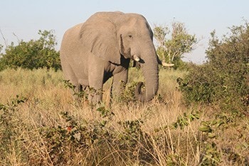 okavango delta adventure trip jChkC.jpg