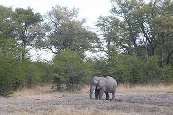 okavango delta adventure trip uwDQW.jpg