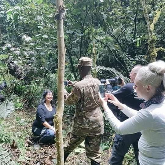 three days gorilla trekking in uganda syVT5yWgsQ.jpeg