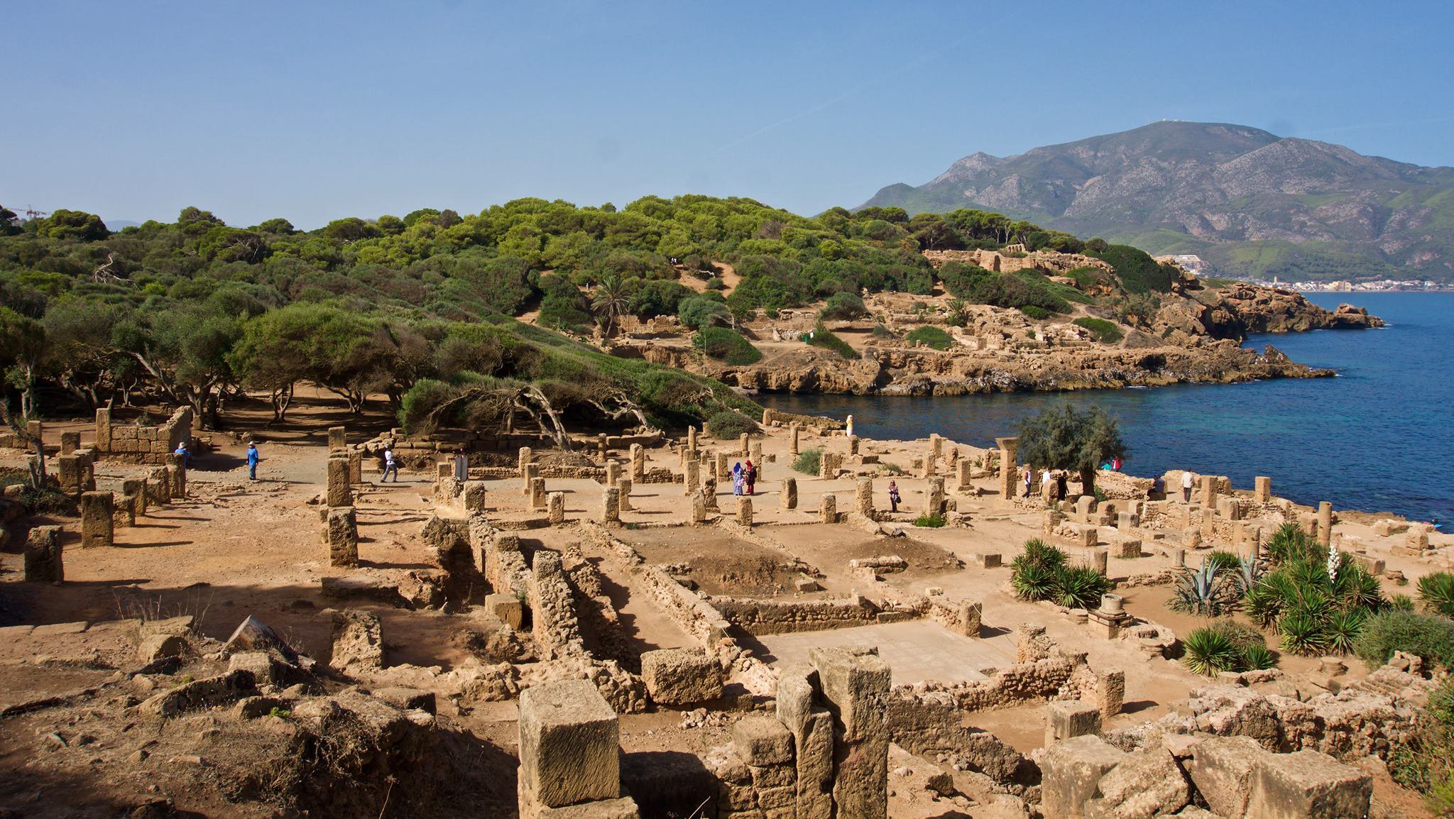 tour guide algeria pn5gA7PtA6.jpeg