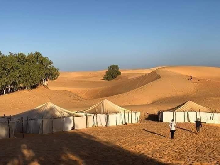 une nuit dans le desert de loumpoul XBmS3S4Ocv.jpeg